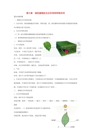 生物：第6章绿色植物的光合作用和呼吸作用复习学案（苏教版七年级上）