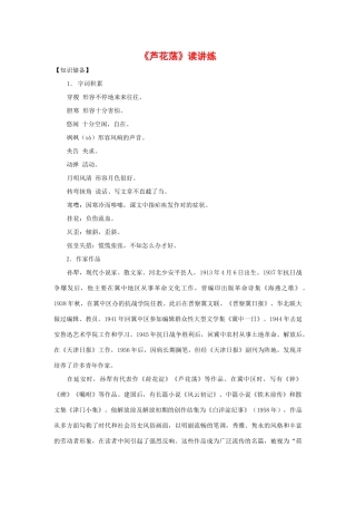 《芦花荡》读讲练