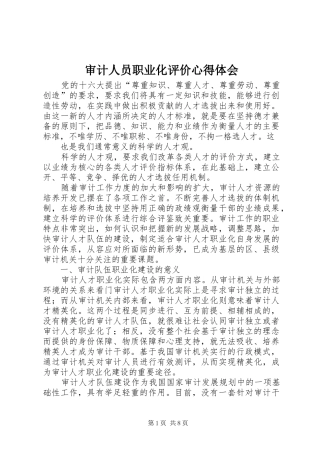 审计人员职业化评价心得体会