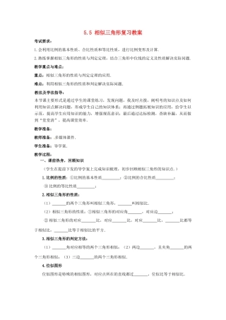 山东省枣庄市峄城区吴林街道中学九年级数学下册 5.5 相似三角形复习教案 北师大版