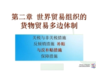 货物贸易法律制度(3)补贴与反补贴法律制度
