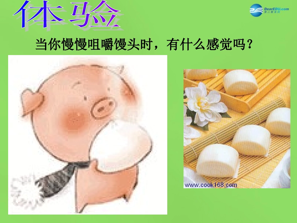 山东省淄博市临淄区第八中学七年级生物下册 2.2《消化和吸收》探究馒头在口腔中的变化课件 新人教版_第2页
