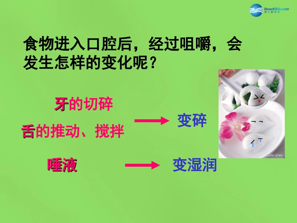 山东省淄博市临淄区第八中学七年级生物下册 2.2《消化和吸收》探究馒头在口腔中的变化课件 新人教版_第3页