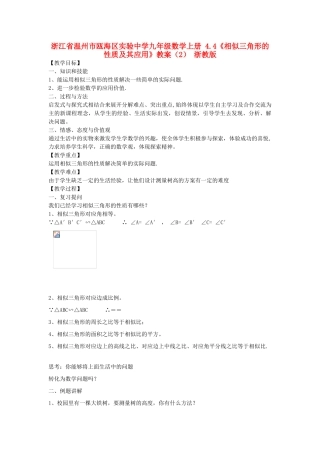 浙江省温州市瓯海区实验中学九年级数学上册 4.4《相似三角形的性质及其应用》教案（2） 浙教版