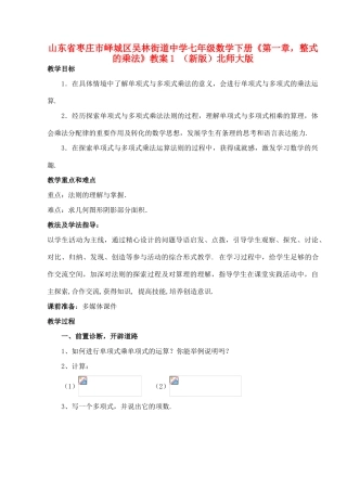山东省枣庄市峄城区吴林街道中学七年级数学下册《第一章，整式的乘法》教案1 （新版）北师大版