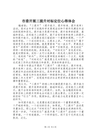 市委开展三提升对标定位心得体会