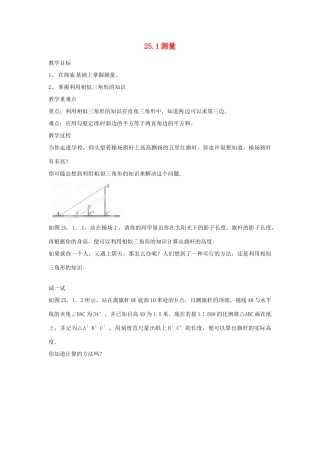 陕西省靖边四中九年级数学上册 25.1 测量教案 华东师大版