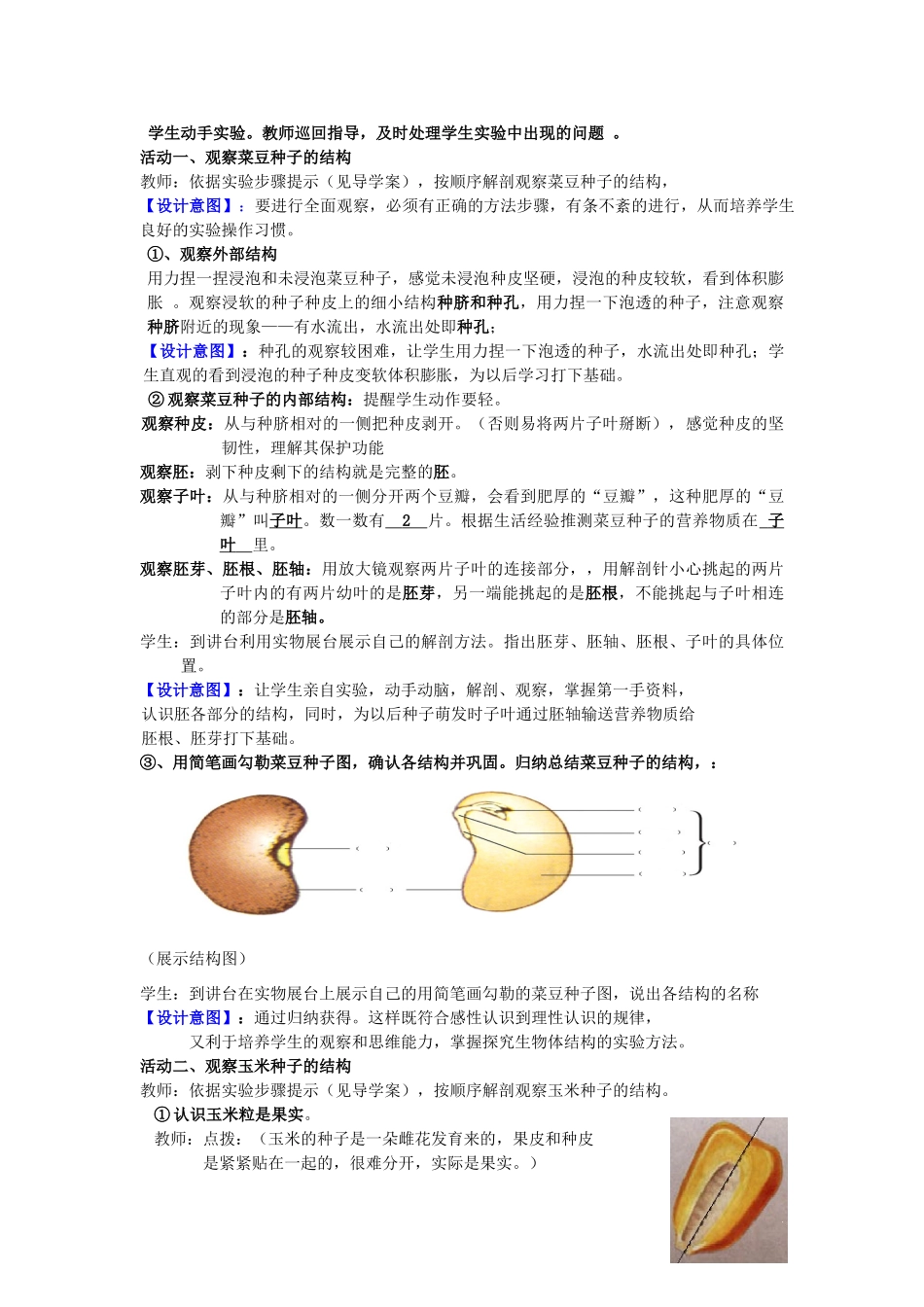 山东省枣庄市峄城区吴林街道中学八年级生物上册 第四单元 第一章 第三节 果实和种子的形成第二课时 教案教案 济南版_第3页