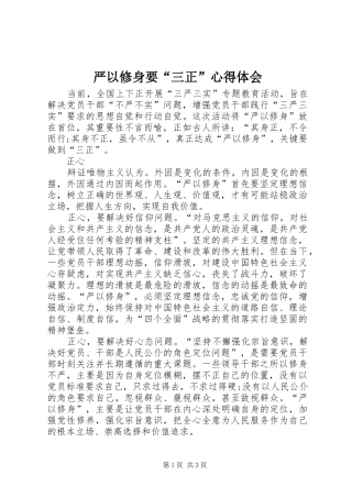 严以修身要“三正”心得体会