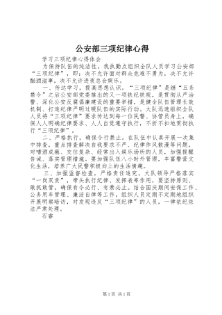 公安部三项纪律心得