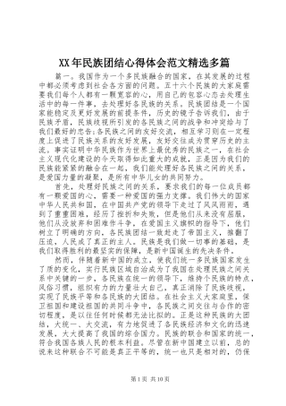 XX年民族团结心得体会范文精选多篇