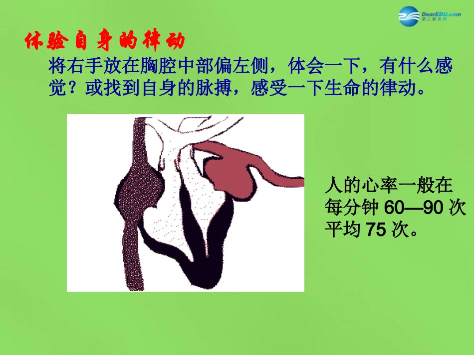 山东省淄博市临淄区第八中学七年级生物下册 第四章 人体内废物的运输复习课件 新人教版_第1页