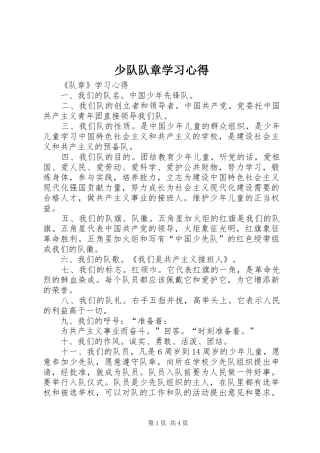 少队队章学习心得