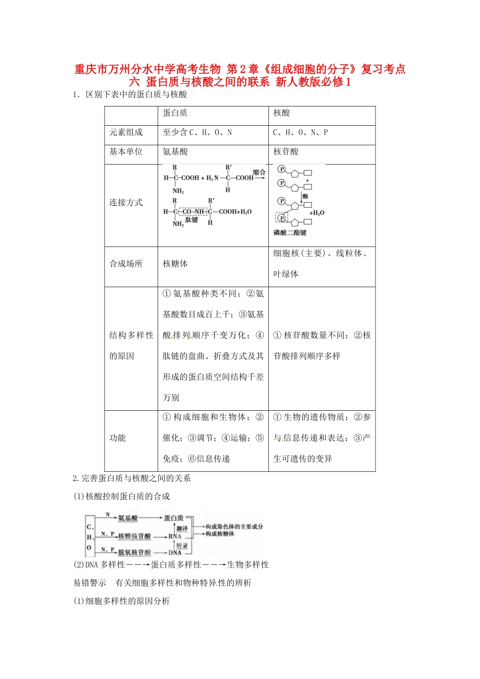 重庆市万州分水中学高考生物 第2章《组成细胞的分子》复习考点六 蛋白质与核酸之间的联系 新人教版必修1_第1页