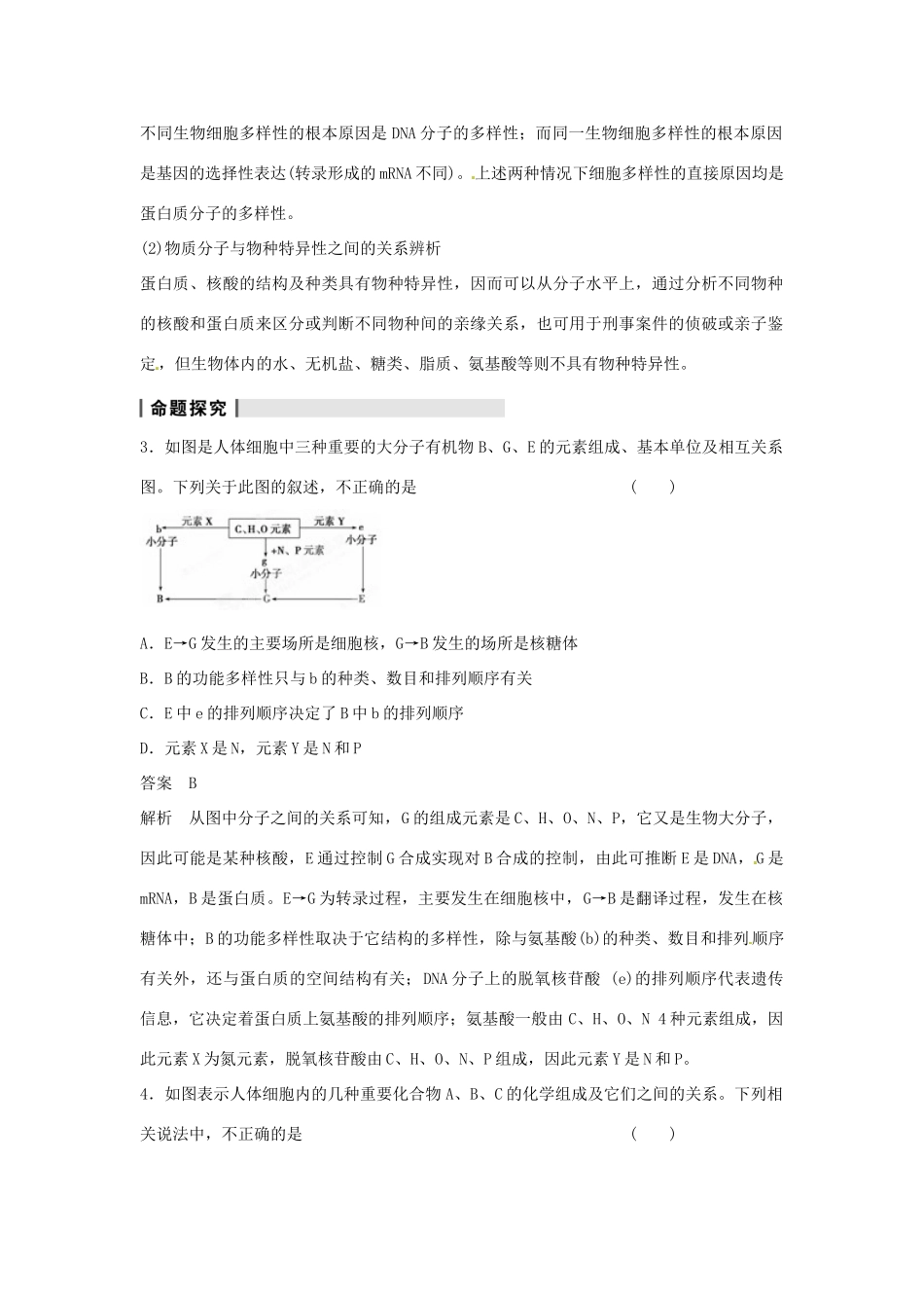 重庆市万州分水中学高考生物 第2章《组成细胞的分子》复习考点六 蛋白质与核酸之间的联系 新人教版必修1_第2页