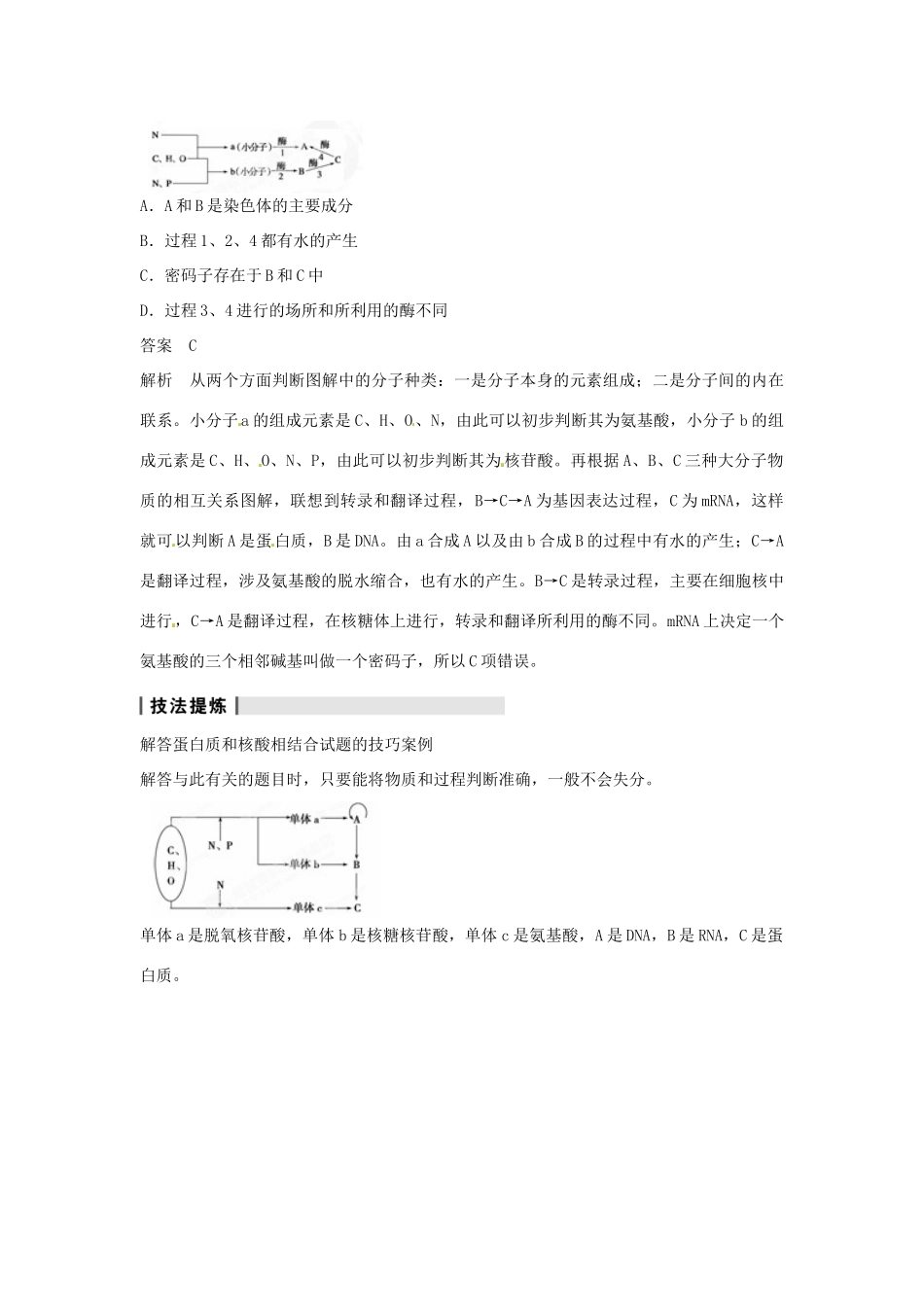 重庆市万州分水中学高考生物 第2章《组成细胞的分子》复习考点六 蛋白质与核酸之间的联系 新人教版必修1_第3页