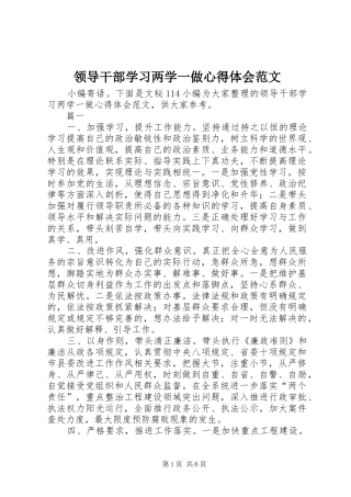 领导干部学习两学一做心得体会范文