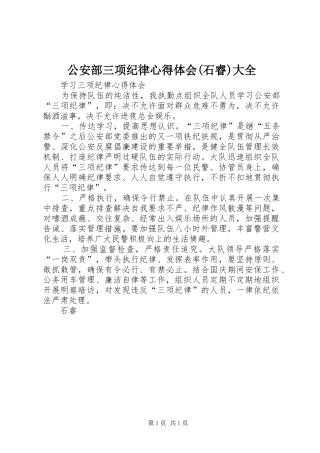 公安部三项纪律心得体会(石睿)大全
