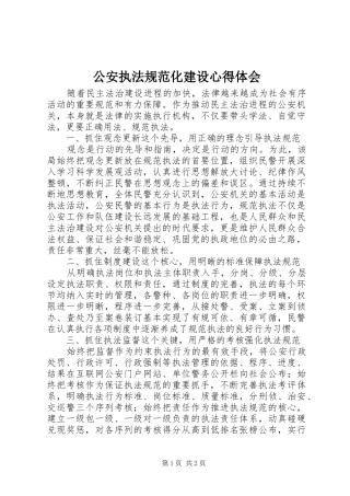 公安执法规范化建设心得体会