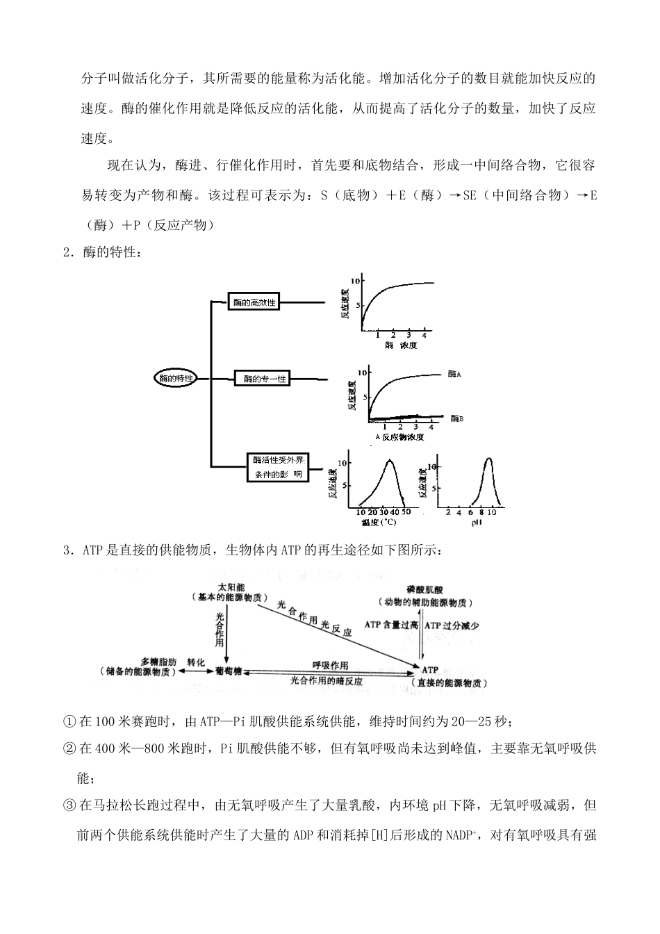 苏教版高中生物必修1ATP和酶1_第2页