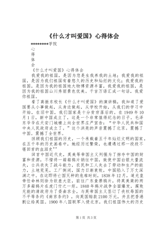 《什么才叫爱国》心得体会