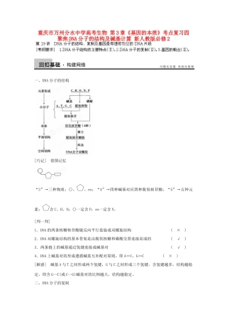 重庆市万州分水中学高考生物 第3章《基因的本质》考点复习四 聚焦DNA分子的结构及碱基计算 新人教版必修2