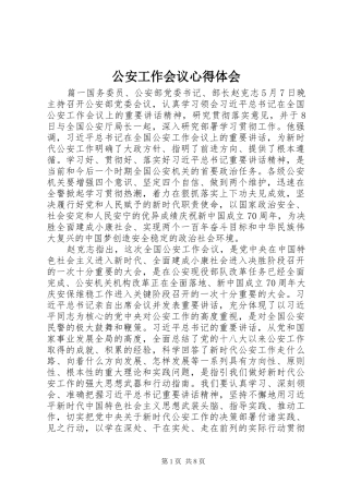 公安工作会议心得体会