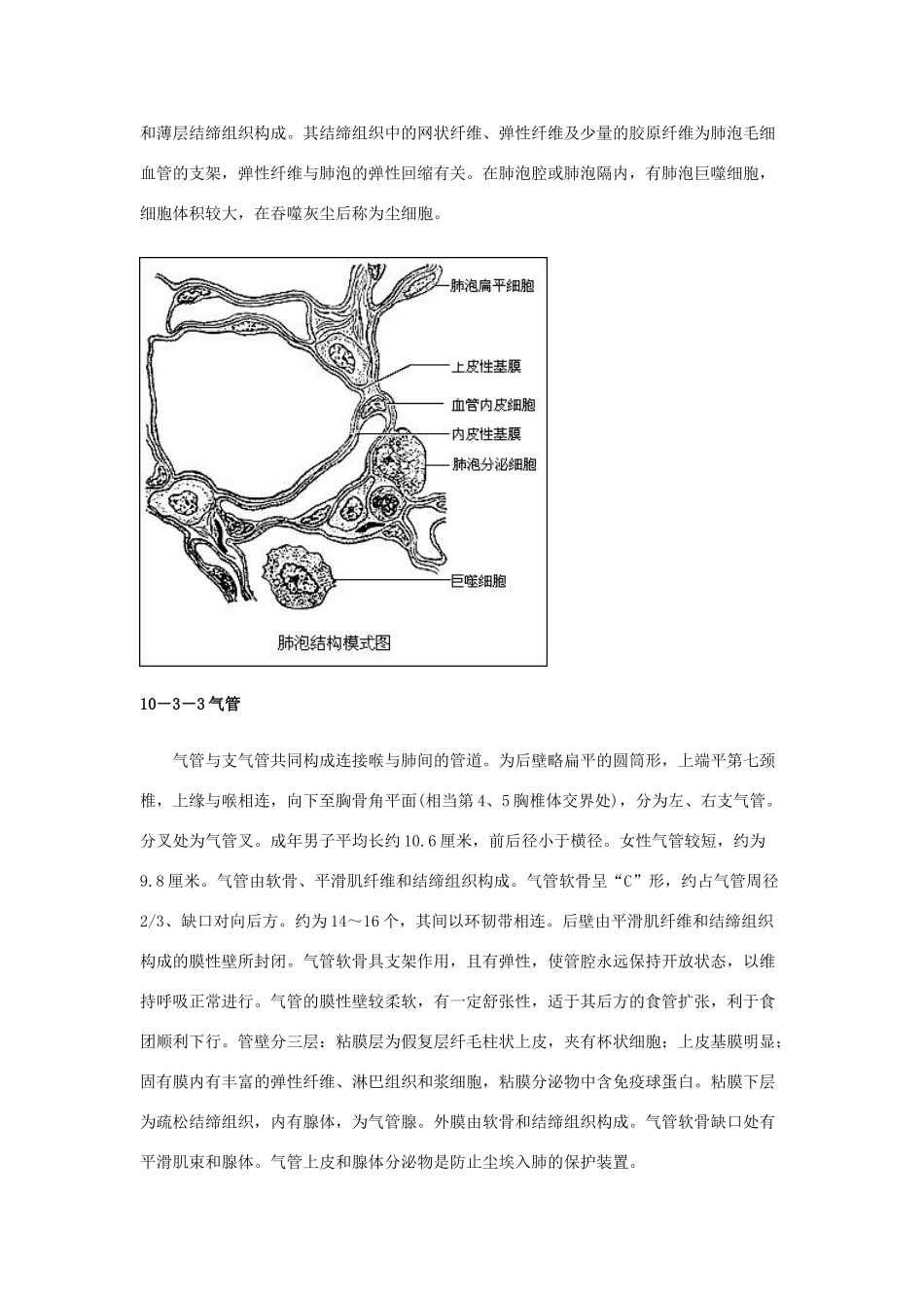 云南省祥云县禾甸中学七年级生物下册《10-3 人体和外界环境的气体交换》（18课时）教案 苏教版_第2页