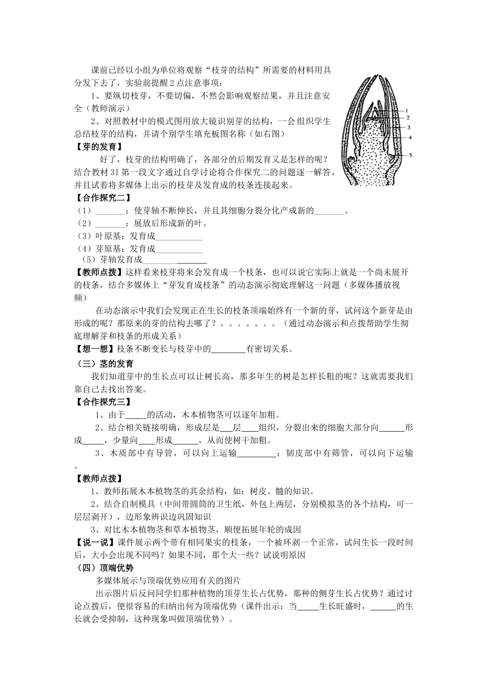 山东省枣庄市峄城区吴林街道中学八年级生物上册 第四单元 第一章 第六节芽的结构和类型教案 济南版_第2页