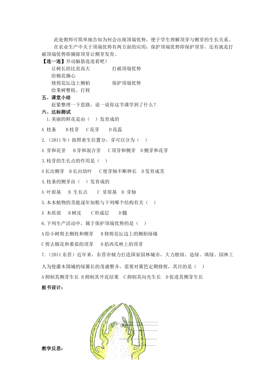 山东省枣庄市峄城区吴林街道中学八年级生物上册 第四单元 第一章 第六节芽的结构和类型教案 济南版_第3页