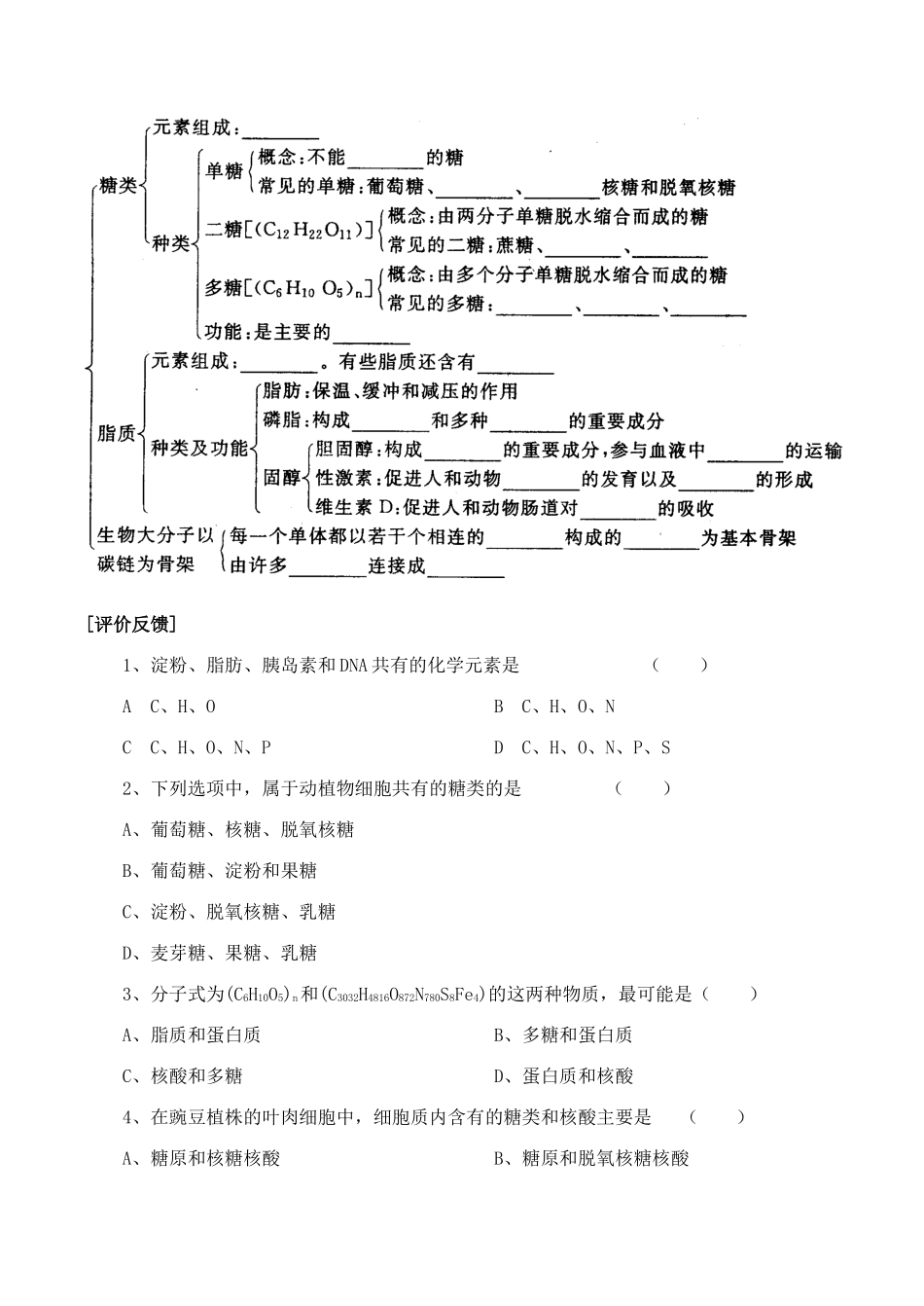 山西省运城市康杰中学高中生物 2.4 细胞中的糖类和脂质学案 新人教版必修1_第2页