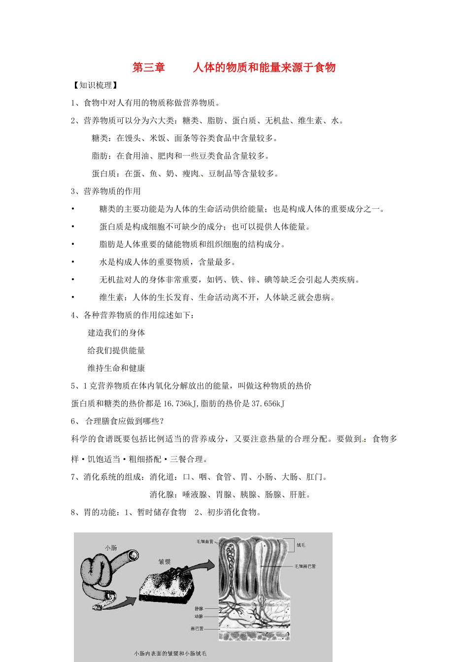 生物：第3章 人体的物质和能量来源于食物 章复习教案（苏科版七年级上）_第1页
