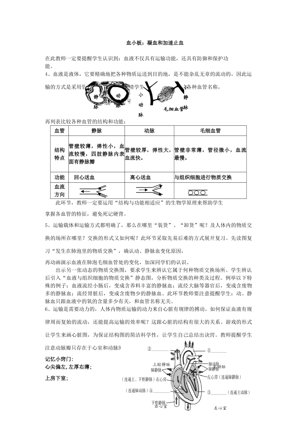 中考生物《人体内物质的运输》复习教案-人教版初中九年级全册生物教案_第2页