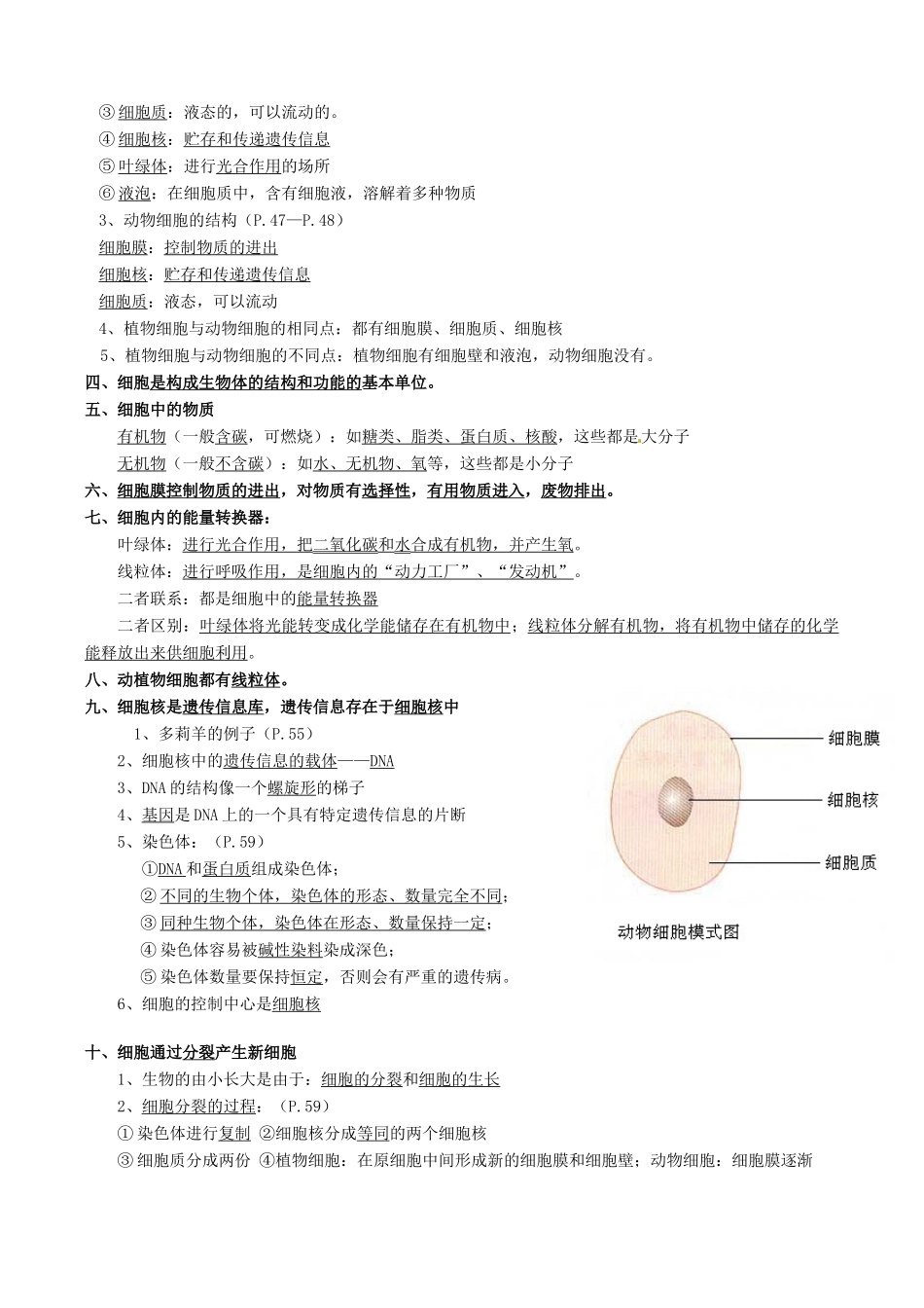 新疆石河子第八中学七年级生物上册 复习提纲教案_第3页