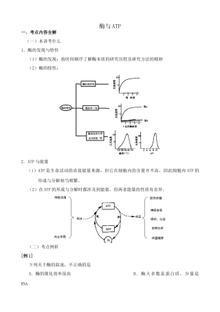 苏教版高中生物必修1酶与ATP