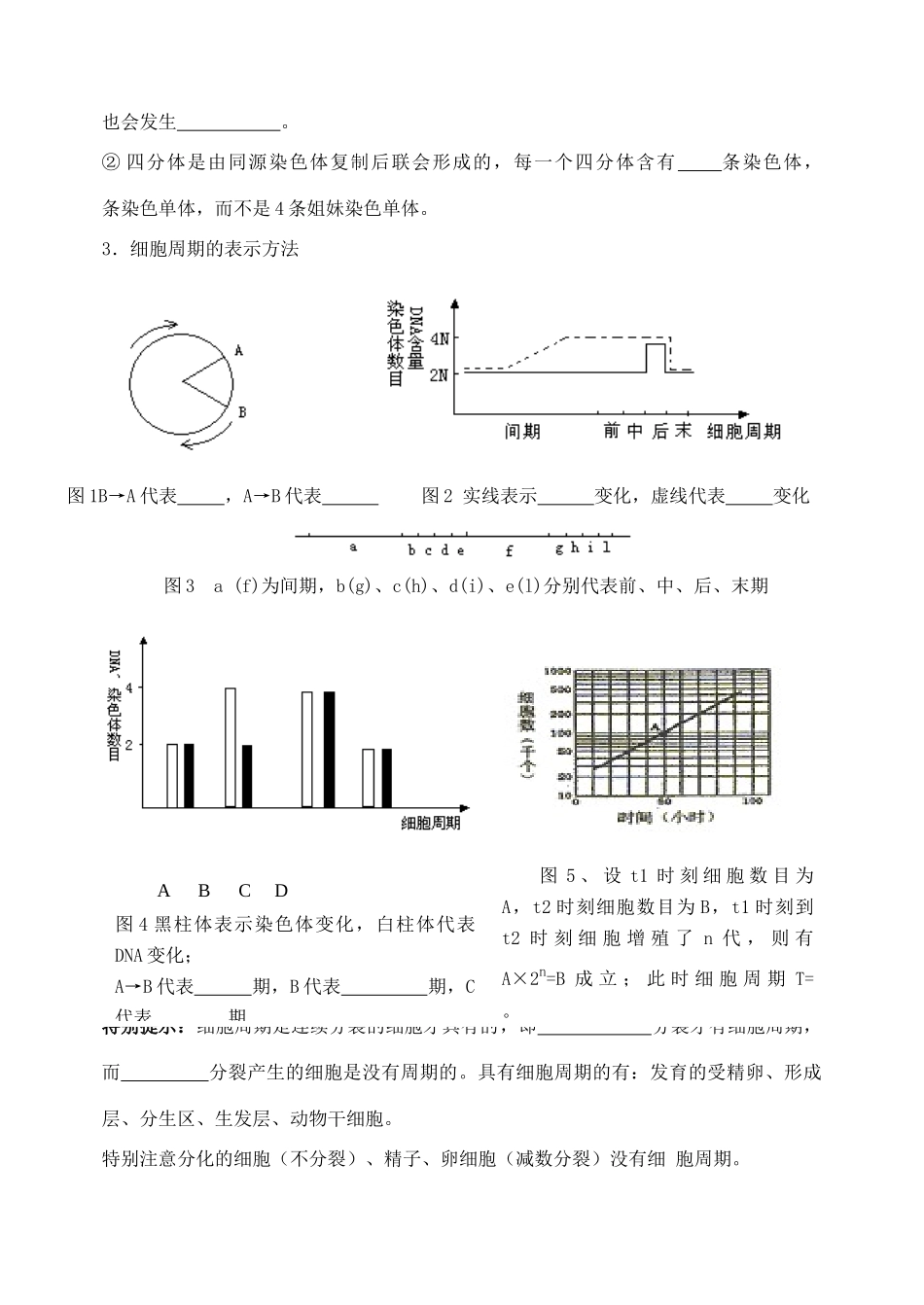 天津市高考生物一轮复习 专题3 细胞的生命历程教案 新人教版_第2页