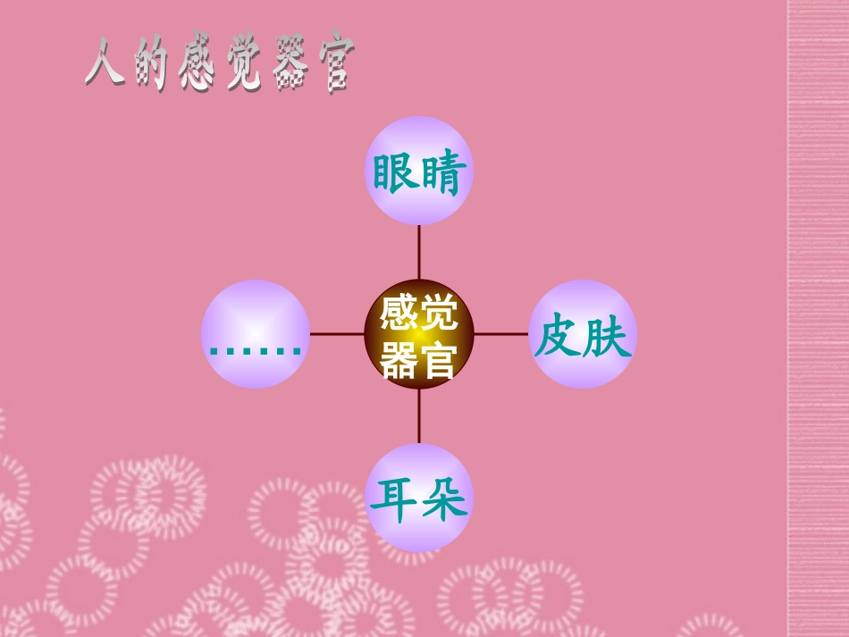 云南省祥云县禾甸中学七年级生物下册《12-3 感知信息》课件 苏教版_第2页