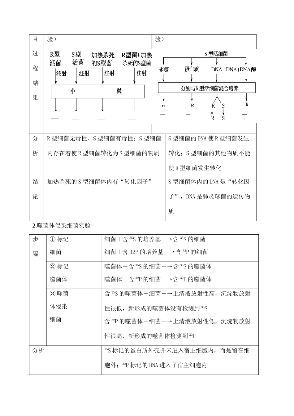 天津市高考生物一轮复习 专题4 遗传变异与进化2遗传的分子基础教案 新人教版_第2页