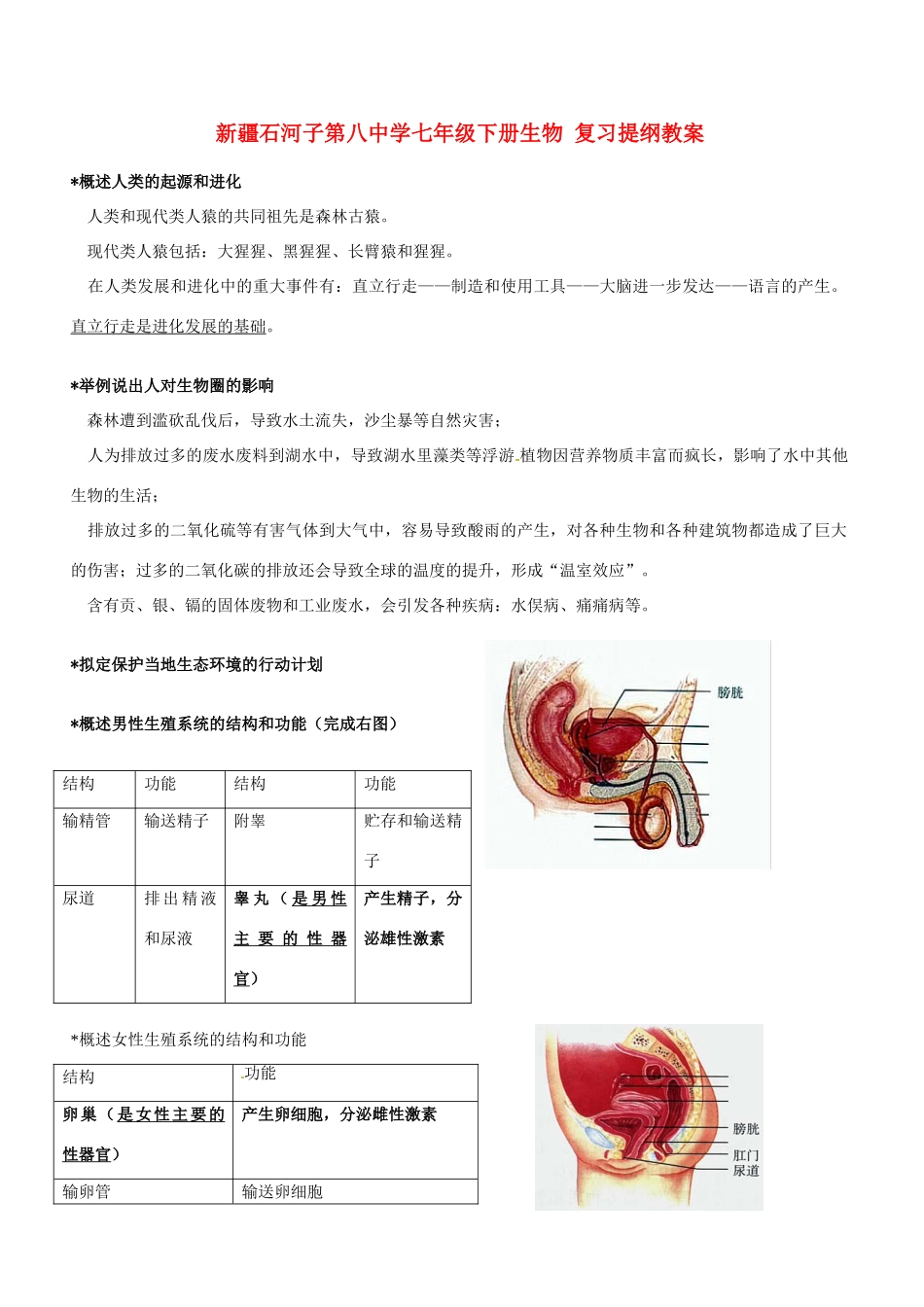 新疆石河子第八中学七年级下册生物 复习提纲教案_第1页