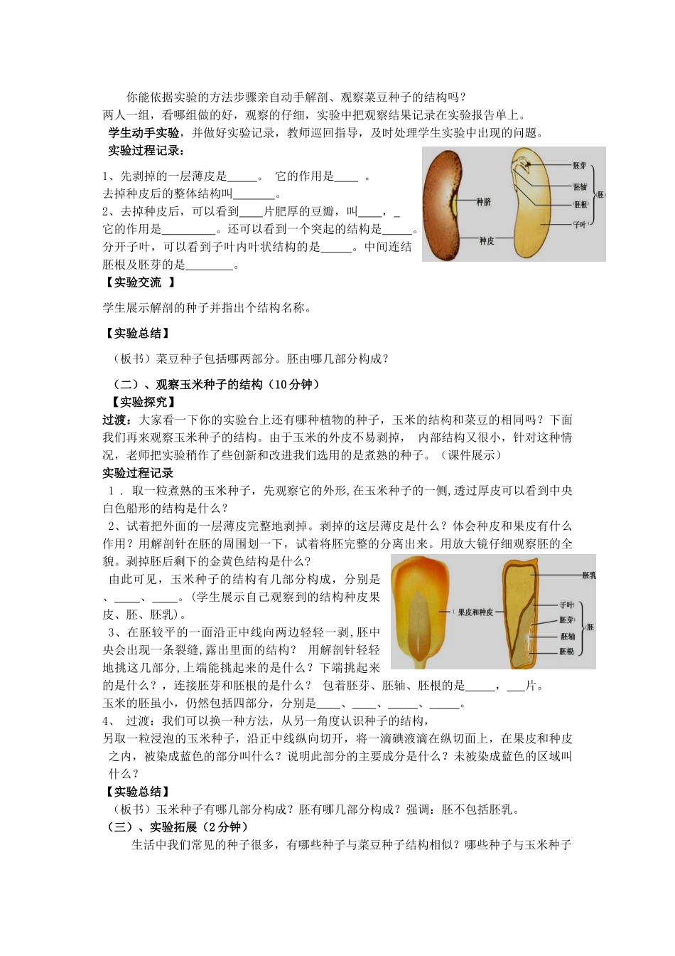 山东省枣庄市峄城区吴林街道中学八年级生物上册 第四单元 第一章 第三节 观察种子的结构教案 济南版_第2页