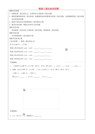 上海市罗泾中学九年级数学上册 锐角三角比知识回顾教案 沪教版五四制