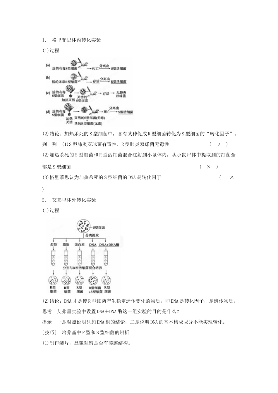 重庆市万州分水中学高考生物 第3章《基因的本质》考点复习一 分析肺炎双球菌的转化实验 新人教版必修2_第2页