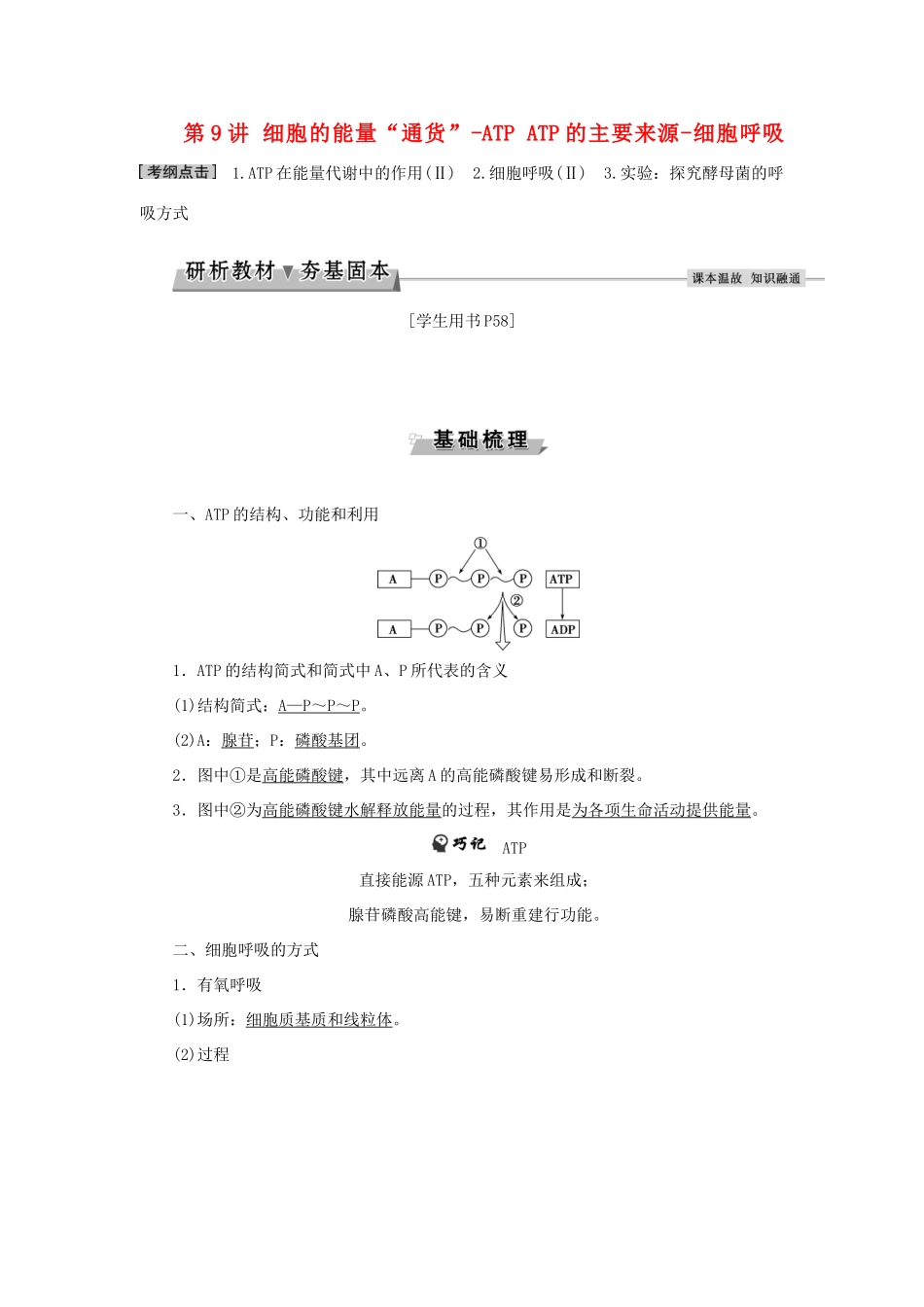 优化方案高考生物大一轮复习 第三单元 细胞的能量供应和利用 第9讲 细胞的能量“通货”-ATP ATP的主要来源-细胞呼吸讲义-人教版高三全册生物教案_第1页