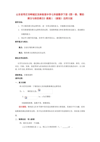 山东省枣庄市峄城区吴林街道中学七年级数学下册《第一章，幂的乘方与积的乘方》教案1 （新版）北师大版