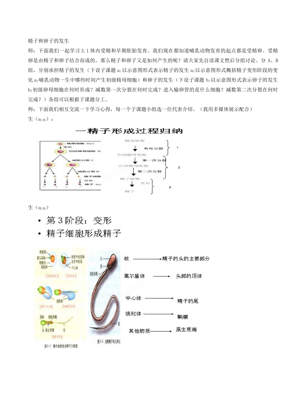 黑龙江省大庆外国语学校高二生物《体内受精和早期胚胎发育》教案 新人教版_第3页