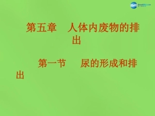 山东省淄博市临淄区第八中学七年级生物下册 第五章 第一节 尿的形成和排出课件1 新人教版