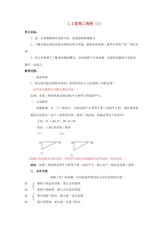 山东省枣庄市峄城区吴林街道中学九年级数学上册 1.2 直角三角形教案（1） 北师大版