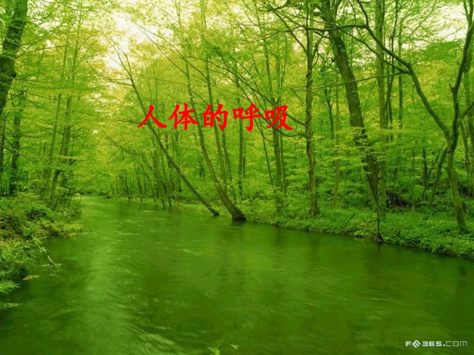 山东省淄博市临淄区第八中学七年级生物下册 第三章 人体的呼吸课件1 新人教版_第1页