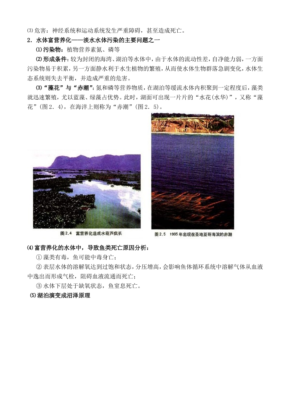 山西省运城市康杰中学高中地理 2.1 水污染及其成因教案 新人教版选修6_第3页