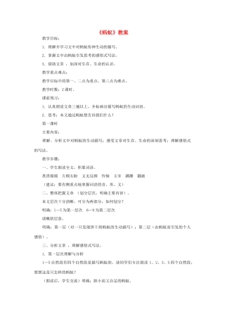 八年级语文下册《蚂蚁》教案 北师大版
